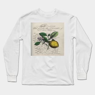 dark academia vintage Mediterranean fruit orchard citrus blossom yellow lemon Long Sleeve T-Shirt